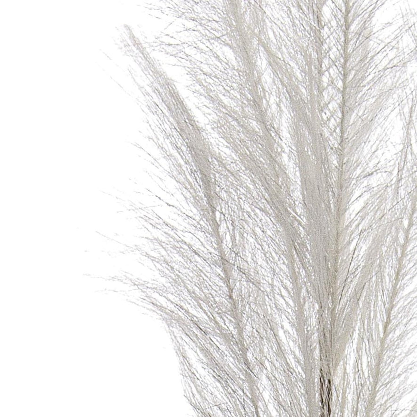 Ramo Nelly Pampas giallo Ø20x100h