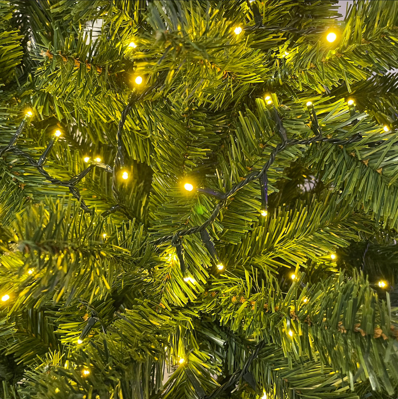 Catena NTLG 1000 MiniLED Bianco caldo oro cavo Verde 4+30,5m