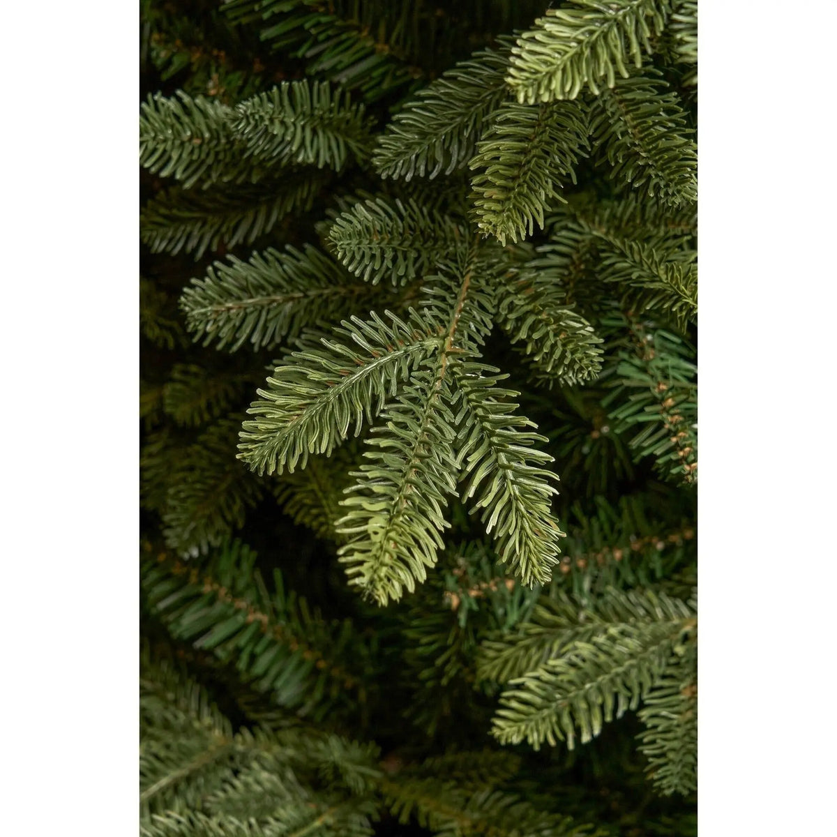 Albero di Natale Burton verde automodellante Ø147 × H230 cm con 3171 rami