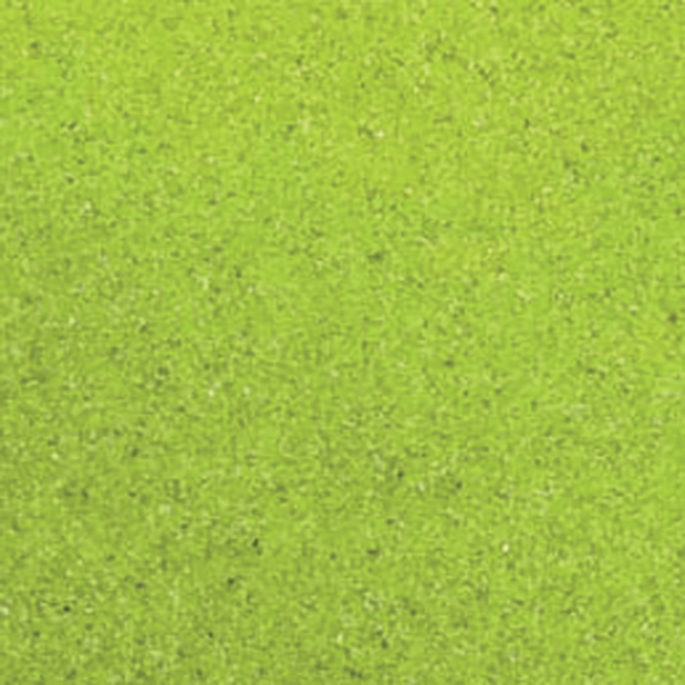 Sabbia decorativa verde mela 0,5 mm 550 gr Flortis