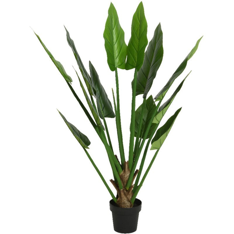 Pianta artificiale Strelitzia in vaso H135 cm