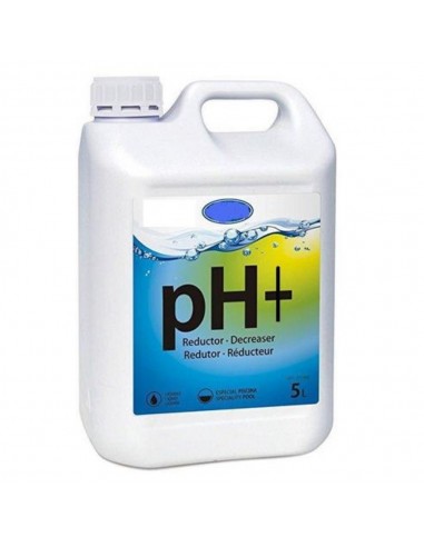 Correttore Ph per piscine liquido flacone PH PIU da 5 litri