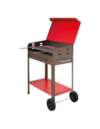  Barbecue A Carbone Vanessa Cm 40 X 60 X H 90 Mille