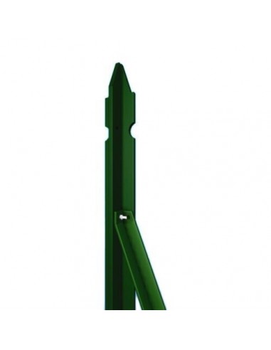 Saetta plastica verde 150h cm