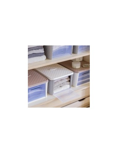 Paniate - Bama Contenitore per Armadio Infinity Box Panna - Contenitori e  Scatole in Plastica in offerta da Paniate