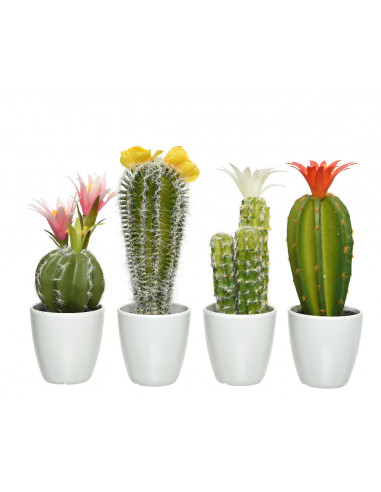 Pianta Cactus con vaso 7,5x7,5x24h cm