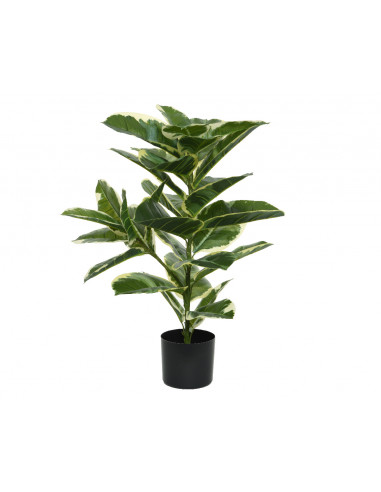 Pianta Ficus in plastica con vaso 61x61x76h cm