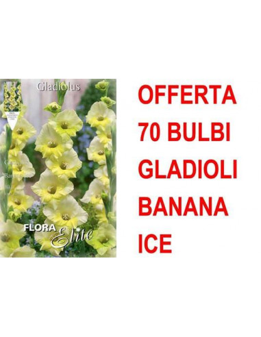 Concime Per Fragole Piccoli Frutti 1Kg Fito Bio