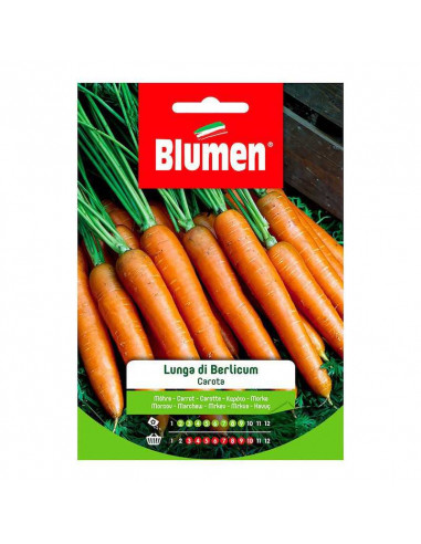 Semi di carota lunga Berlicum in sacchetto