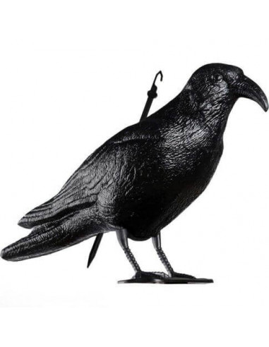 Statua spaventapasseri corvo 35cm