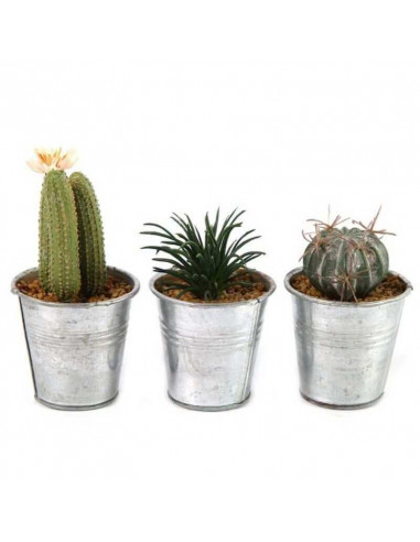 Pianta Artificiale Di Cactus In Vaso Leia
