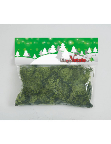 Muschio Lichene Verde Chiaro In Busta Piccola decorazione di Natale