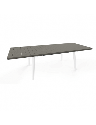 Harmony extendable table