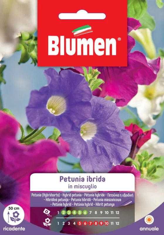 Petunia Ibrida In Miscuglio