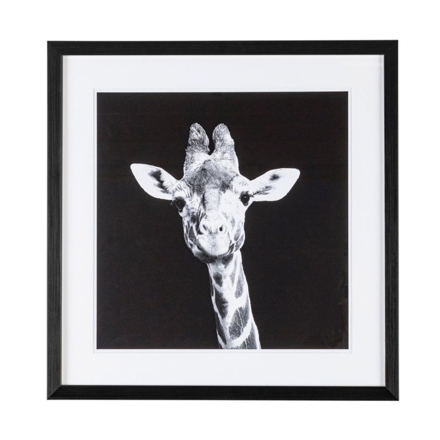 Quadro moderno 49x49 cm con vetro protettivo