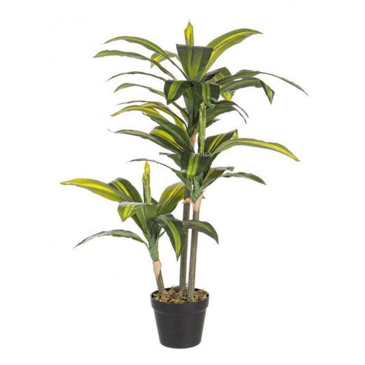 Pianta dracena 43 foglie 88 cm x 16 cm x 115 cm