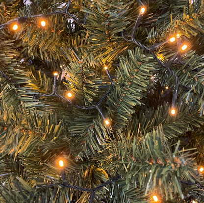 Catena NTLG 1000 MiniLED Bianco caldo intenso cavo Verde 4+30,5m