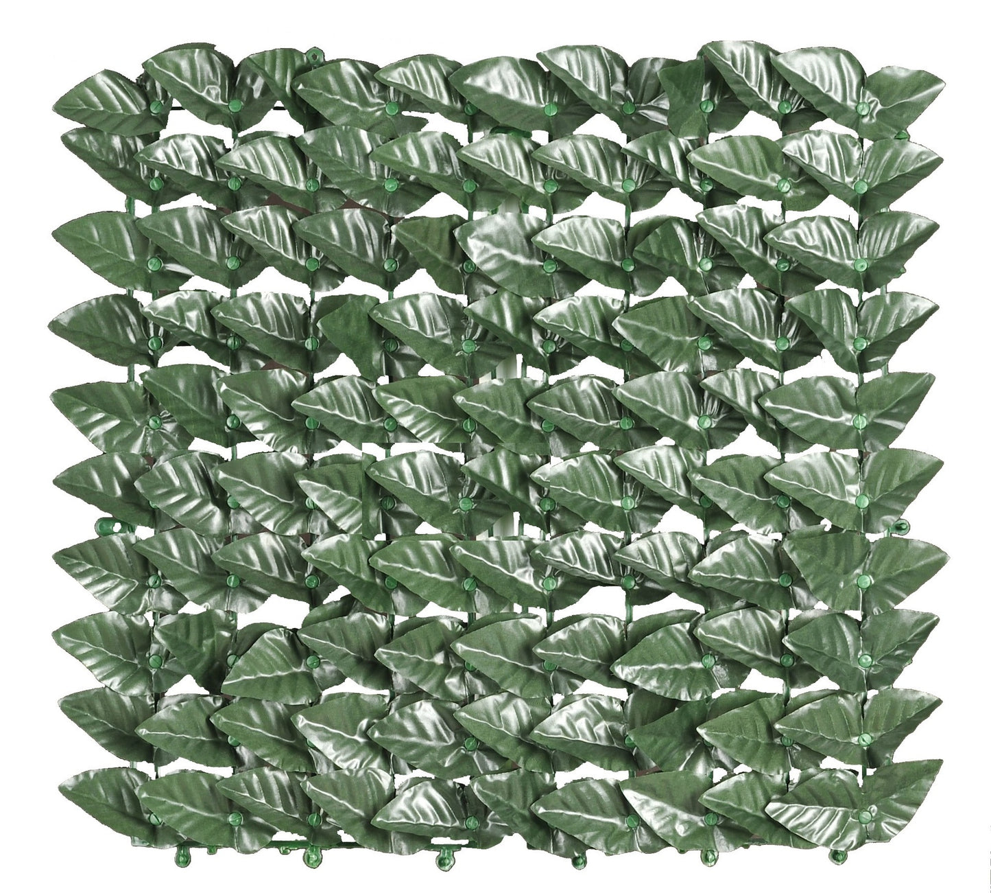 Arelle SempreVerdi Lauro Bottom MT. 1,50 x 20