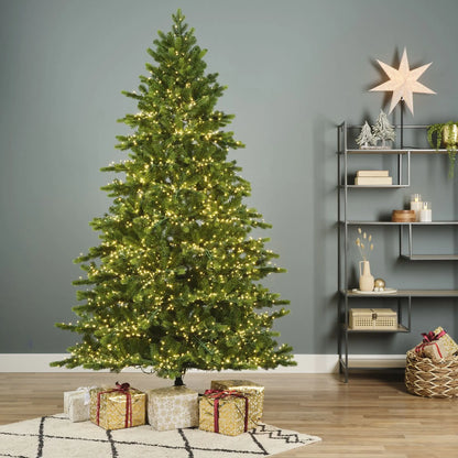 Albero di Natale Galloway Spruce verde con 7500 LED Ø160 × H270 cm