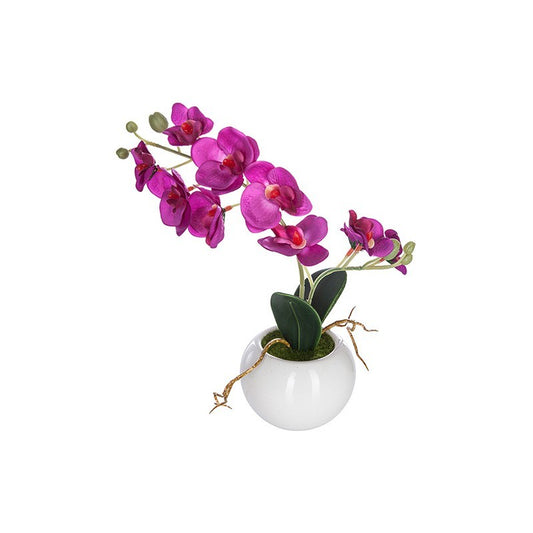 Orchidea H25 cm con vaso in ceramica