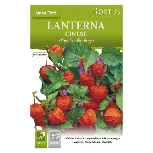 Lanterna Cinese DB