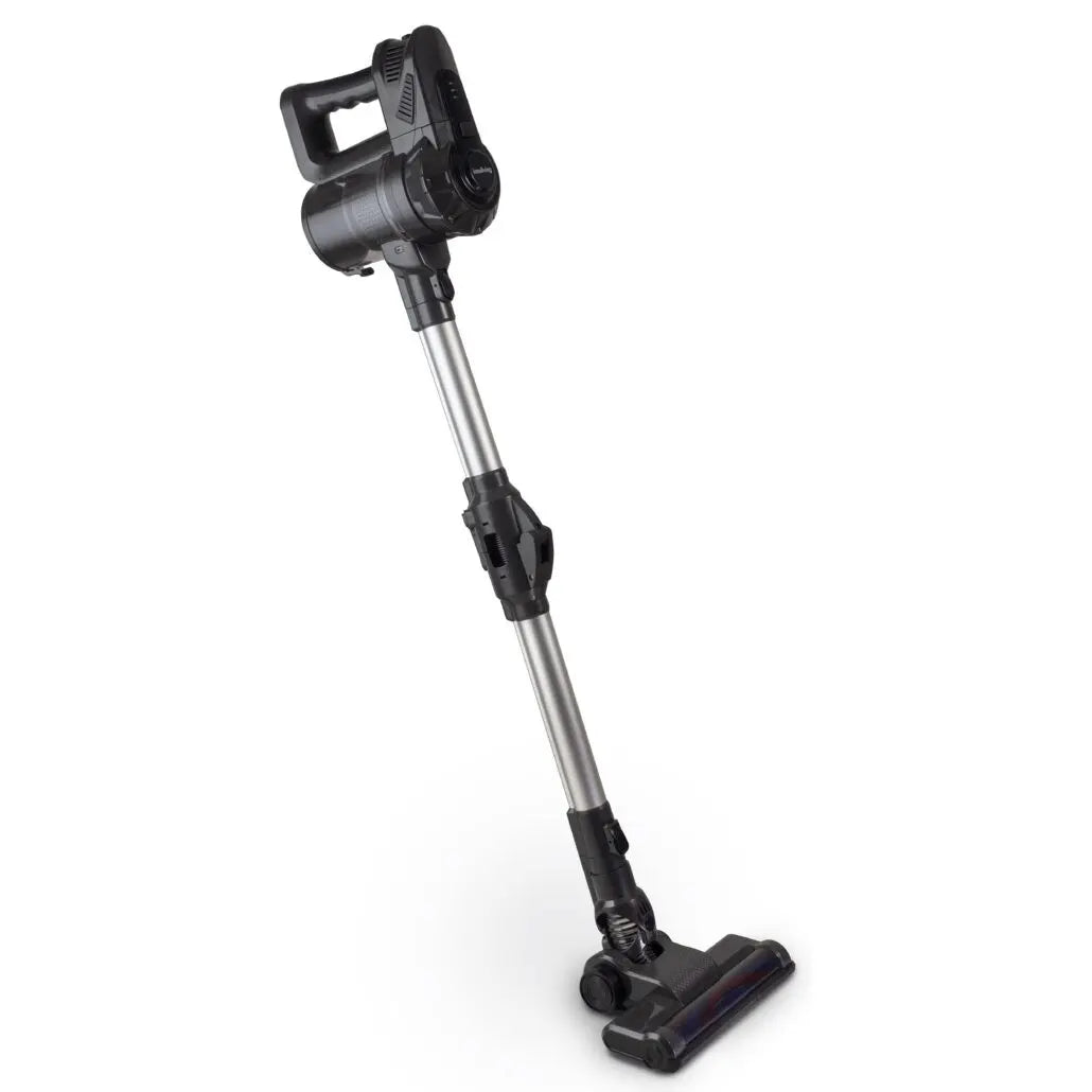 Aspirapolvere ciclonico senza fili ricaricabile 22,2V con spazzola LED e filtro HEPA