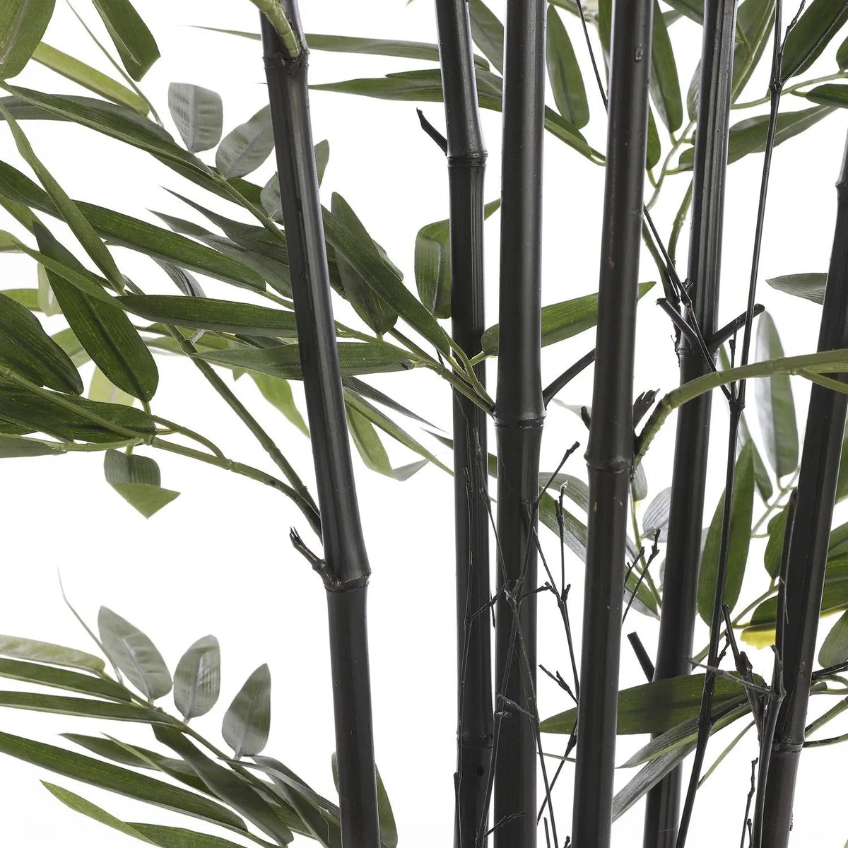 Bamboo nero artificiale in vaso H150 cm
