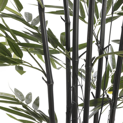 Bamboo nero artificiale in vaso H150 cm
