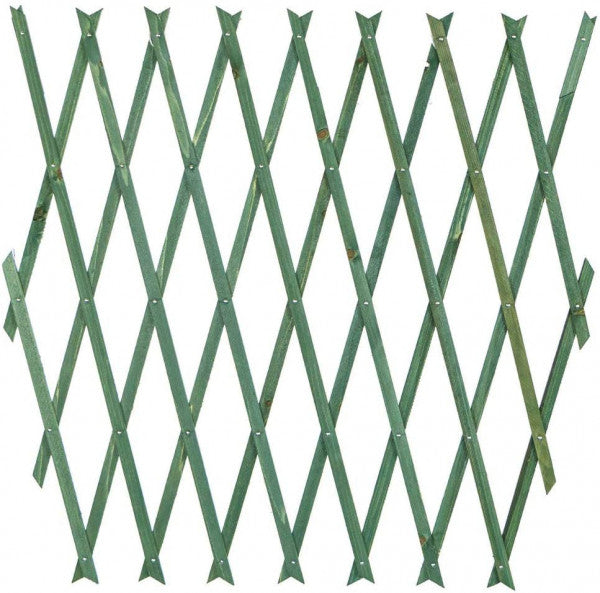 Traliccio estensibile in legno verde cm 100x200