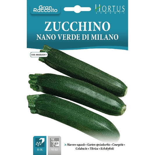Zucchino Nano verde di Milano Gran Raccolto