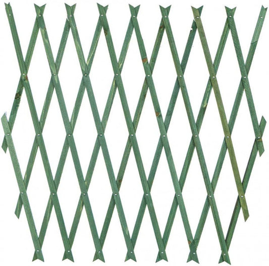 Traliccio estensibile in legno verde cm 150x200