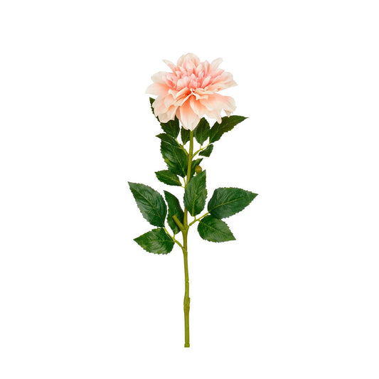 Dalia salmone con foglie