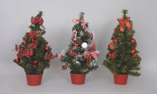 Alberino con vaso rosso 50 x 50 cm