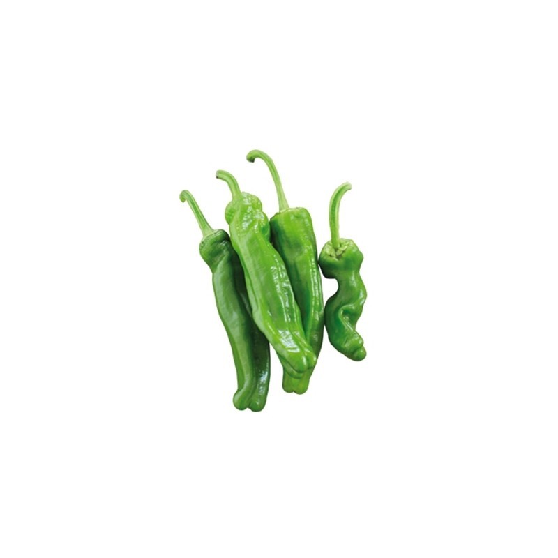 Peperone Friggitello (Friariello)  Gran Raccolto