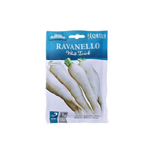 Ravanello White Icicle Gran Raccolto