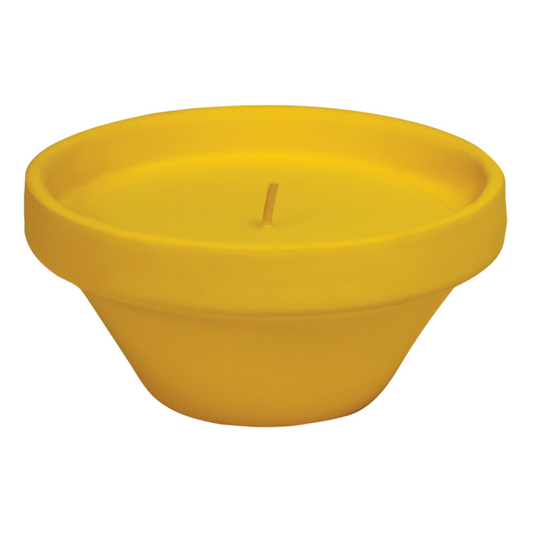 Caribe vaso in terracotta con citronella