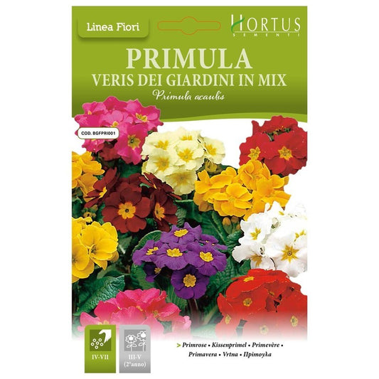 Primula veris Dei giardini mix DB