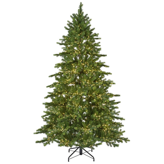Albero di Natale Galloway Spruce verde con 7500 LED Ø160 × H270 cm