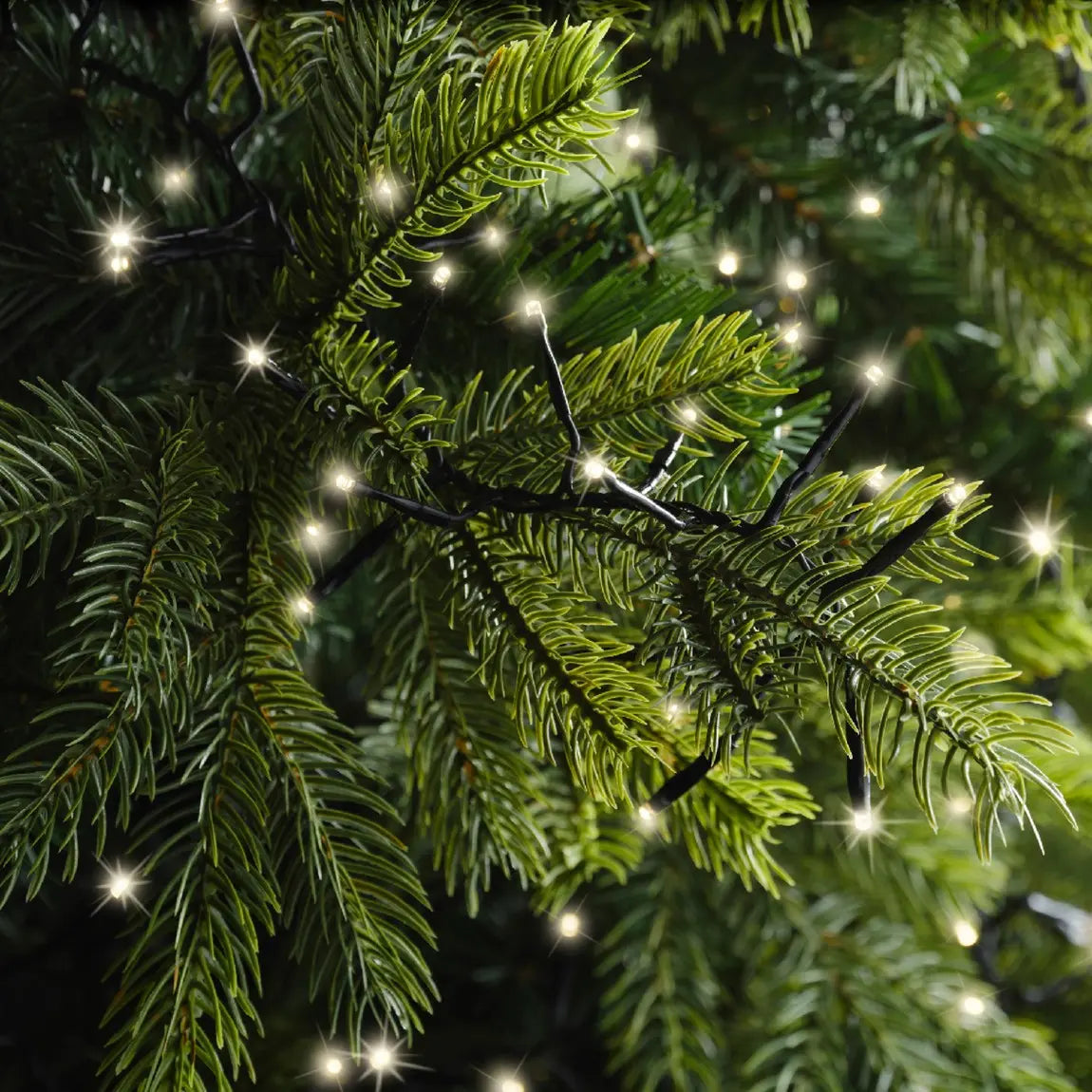 Catena luminosa LED Excellent nera con luce bianco caldo da esterno 35 m