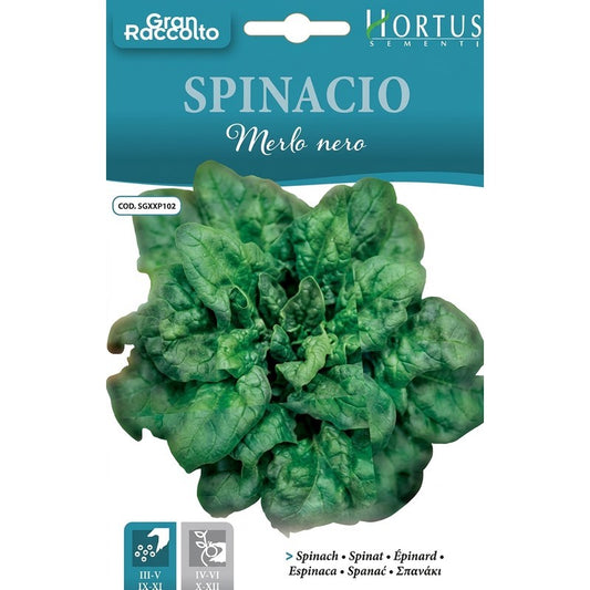 Spinacio Merlo Nero Gran Raccolto